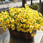 Artificial Flowers for Outdoor, UV Resistant Fake Silk Pansies Flowers, Realistic Faux Plants for Outside Indoor Porch Patio Window Box Planter Home Decor (16, Yellow)