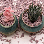 Rocks for Plants.Red Color Decorative Pebbles. 1/5 Inch 2 lbs. for Garden, Landscaping, Indoor, Vase fillers, Crafting, Succulents, pots, Plants (Mini, RED, 2)