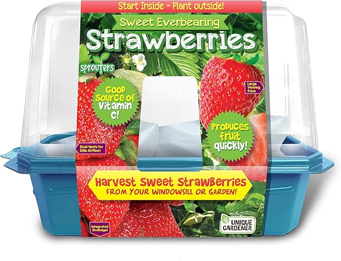 Unique Gardener Grow Your Own Strawberries Kit, Everbearing Sweet and Juicy Strawberry Plants for Indoor and Outdoor Planting, Includes Everything for Easy Gardening Just Add Water