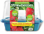 Unique Gardener Grow Your Own Strawberries Kit, Everbearing Sweet and Juicy Strawberry Plants for Indoor and Outdoor Planting, Includes Everything for Easy Gardening Just Add Water
