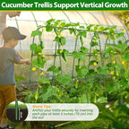 Cucumber Trellis for Raised Bed, 66''x48'' U-Shape Garden Trellis for Climbing Plants Outdoor, Metal Arch Plant Support, Vegetables Trellis for Squash Grape Pea Bean Vines Flower