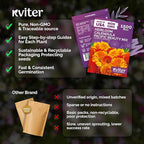 KVITER 150 Mix Pacific Beauty Calendula Seeds (Calendula Officinalis) - Pot Marigold, Heirloom and Non GMO - Annual Flower Seeds in Seed Packets for Outdoor and Indoor Garden, Containers, Cut Flowers
