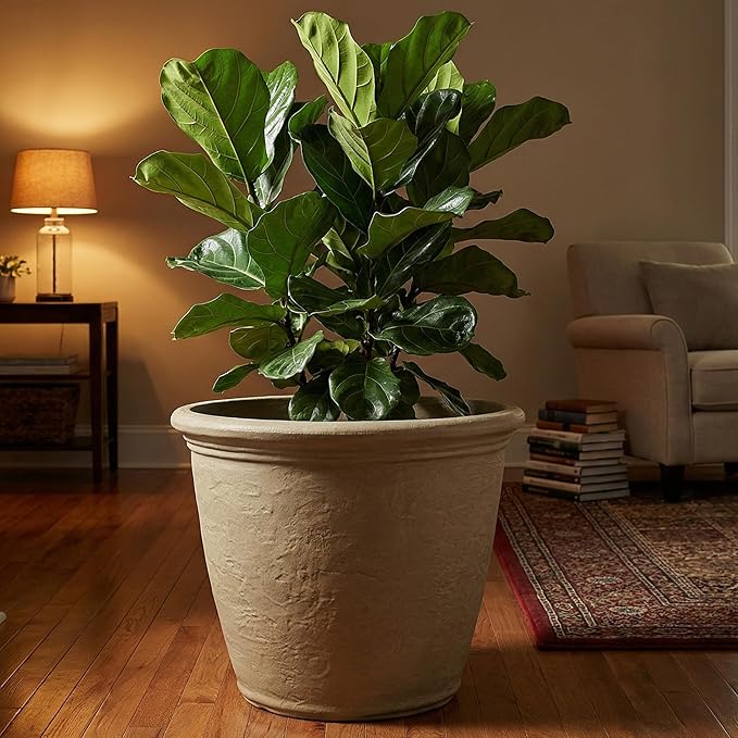 Sunnydaze 20-Inch Anjelica Large Plastic Pot for Plants - Outdoor Double-Walled Large Plastic Planter with Drillable Drainage Holes- Beige