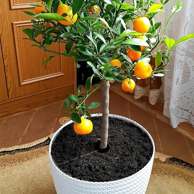 4 Pcs Plant Pot Grids – Adjustable Soil Cover for Indoor/Outdoor Plant Protection – Durable Mesh Guard to Keep Animals Away from Potted Plants