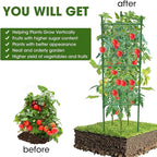 3 Pack Tomato Cage,Tomato Cage for Raised Garden Bed, 48'' Tall Tomato Trellis Triangle or Square Cages for Garden,Pots, Plant Cages & Supports（Green, Extra Bold ）
