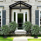 Senjie Artificial Boston Fern 2 Set Large 88 Branches Fake Ferns for Outdoors 48Inch Faux Plant for Home Living Room Office Decor