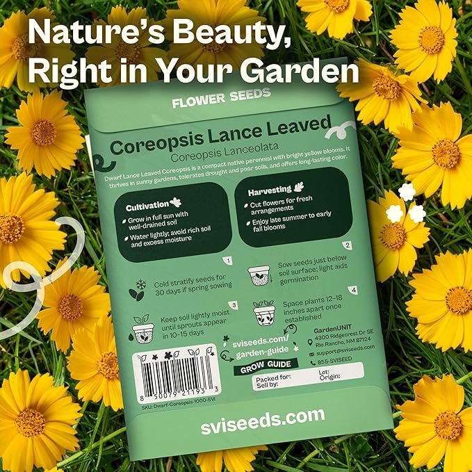 SVI 1000 Dwarf Lance Leaved Coreopsis Seeds (Coreopsis Lanceolata) - Lanceleaf Tickseed, Yellow Wildflower, Drought Tolerant Seed - Perennial Flower Seeds in Seed Packets for Outdoor Garden, Landscape