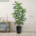 Artificial Dracaena Tree 7FT Tall Fake Plant with White Planter - Realistic Faux Dragon Tree with Tall Planter - Indoor Floor Plant for Home, Office,Mall, Living Room, Bedroom Decor