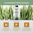 32oz Snake Plant Fertilizer for Snake Plant Live - Makes 192 Gallons of Fertilizer for Indoor Plants, Ideal for Healthy Growth, Strong Leaves, and Vibrant Color - Rich in Macro & Micronutrients