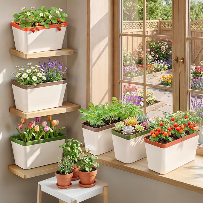OurWarm Windowsill Herb Planter Box Set of 6, 10.5 Inch Self Watering Pots for Indoor Plants, Flower Box with Water Level Window, Colorful Plastic Flower Pots & Planters for Herbs, Vegetables, Flowers