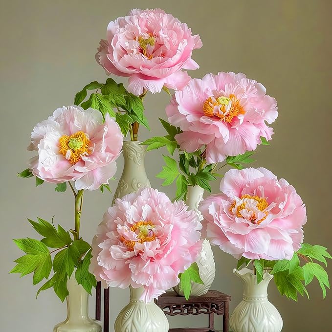Double Hibiscus grandiflorus Seeds for Planting, 201+pcs Rare Perennial Giant Peony Hibiscus Grandiflorus Flower Seeds, Non-GMO Heirloom Beauty Blooms Flowers Plants for Home Garden Outdoors