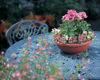 The HC Companies Shallow Planter with Drainage - Contemporary Garden Bowl Planter for Flowers, Herbs & More - Round Succulent Planter Pot for Indoors and Outdoors (24" Chocolate, Pack of 1)