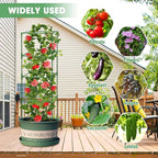 MQUPIN Tomato Cages,4 Packs Square Tomato Cage for Garden Plant Support,41 * 15 * 15in Heavy Duty Steel Plant Tower Stakes Trellis for Climbing Vegetables Flowers Fruits