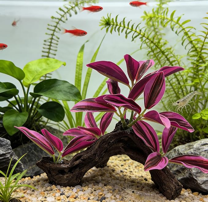 M2cbridge Fish Tank Plastic Soft Grass Artificial Betta Water Plants Decoration Goldfish Hide 2pcs (Purple)