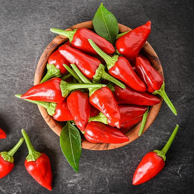 Bonnie Plants Thai Ornamental Hot Pepper, 19.3 oz., 4-Pack, Live Plants