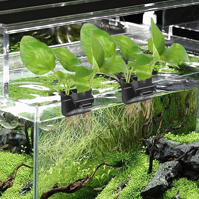 2 Pack Hanging Aquarium Plant Holder – 3 Holes Aquatic Plant Cups, Fish Tank Holder for Aquatic Plants, Ideal for Aquarium Tank Decoration(Black)