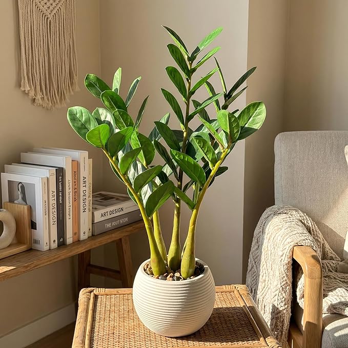 TentoWhan（2Packs Faux Plants Indoor 18.9" Artificial ZZ Plants in White Pot Fake Potted Zamioculcas Silk Faux Plants for Home Table Decor Bedroom Aesthetic