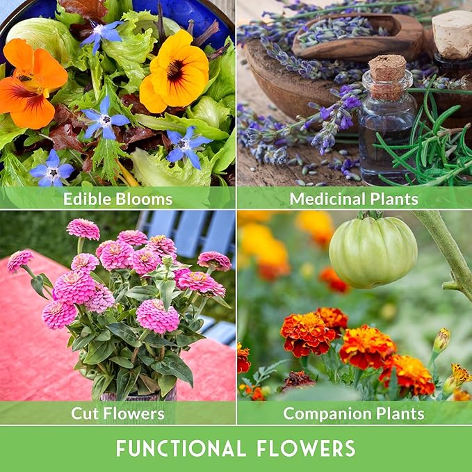 Flower Seeds Garden Kit - 36 Packs of Annual & Perennial Flowers for Planting – with Wildflowers for Pollinators, Bees, Butterflies | Heirloom Non-GMO Seed Starter Pack – Survival Garden Seeds