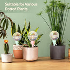 NiHome 2PCS 16OZ Plant Self-Watering Drippers with Adjustable Flow Control, Long-Lasting Automatic Watering Globes for Indoor Outdoor Plants, Tulip Shape Design for Small to Medium Pots (Pink + Green)