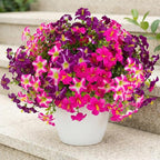 Daynight Faux Petunias Artificial Flowers Plants for Outdoor Plant Decoration,Fake Petunias Realistic Silk Flowers for Porch Yard Garden Window Indoor Decor. (16, Rosered,RedViolet)
