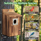 2 Pack Bird Houses for Outside with Metal Predator Guard for Bluebird Wren Swallow Finch, Carbonized Wooden Nesting Boxes for Outdoor, Sturdy Bird House,Easy to Clean