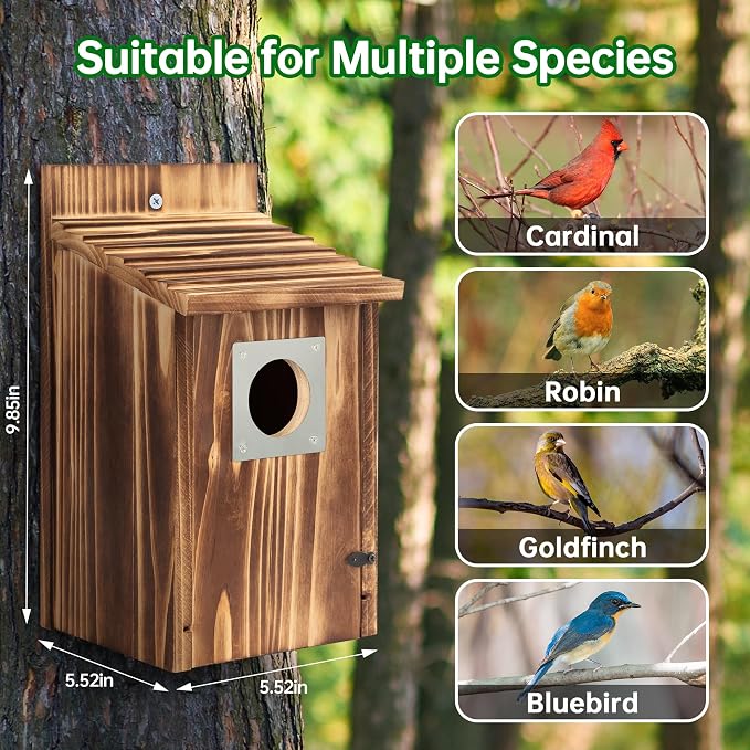 2 Pack Bird Houses for Outside with Metal Predator Guard for Bluebird Wren Swallow Finch, Carbonized Wooden Nesting Boxes for Outdoor, Sturdy Bird House,Easy to Clean