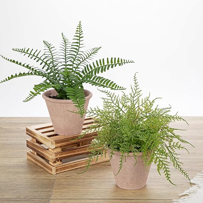 2 Pack Artificial Fern Potted Plant, Small Fake Plants in Pot, Faux Fern Plant for Home Office Farmhouse Living Room Bathroom Kitchen Tabletop Desk Shelf Decoration