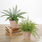 2 Pack Artificial Fern Potted Plant, Small Fake Plants in Pot, Faux Fern Plant for Home Office Farmhouse Living Room Bathroom Kitchen Tabletop Desk Shelf Decoration
