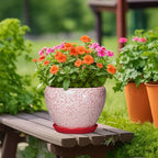 10 Inch Pots for Plants - Ceramic Planter Pots for Indoor Outdoor Plants, Decorative Planter with Drainage Hole and Saucer, Modern Flower Pot, House Decor, Plant Lover Gifts, Crackle Red