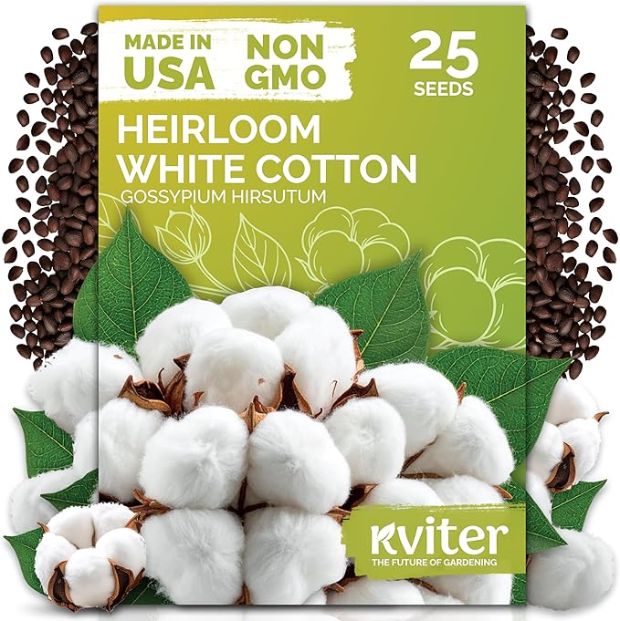 KVITER 25 White Cotton Seeds for Planting (Gossypium hirsutum) – Real Cotton Plant, Cottons Seeds for Growing, Heirloom & Non-GMO Cotton's Plant Seeds for Gardeners – Perfect for Ornamental or Fiber