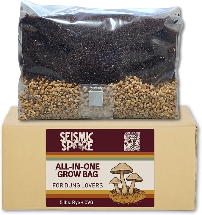 5 lb All-in-One Mushroom Grow Bag - 1 Pack