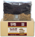 5 lb All-in-One Mushroom Grow Bag - 1 Pack