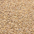 Coarse Sand. Light Brown Color. 1/8 Inch 2 lbs. for Potting Soil, Succulents, Pots, Plants, Gardening, Indoor, Crafting, Vase Fillers (X-Mini, COARSE Sand - Light Brown, 2)