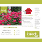 Knockout Double Red Rose, 1g