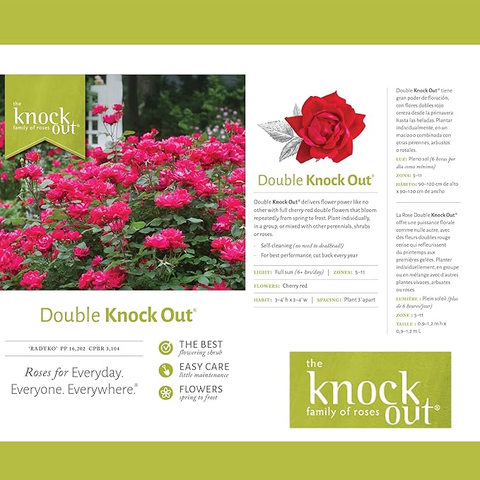 Knockout Double Red Rose, 1g