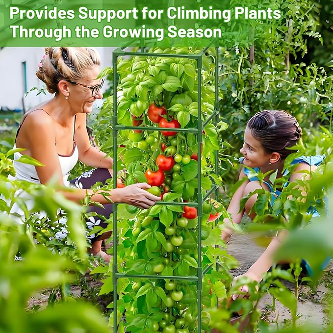 Legigo 2 Pack Square Tomato Cages- 60 Inch Heavy Duty Tomato Trellis for Climbing Plants Outdoor, Tomato Plant Support Stakes Cage Garden Trellis for Garden Raised Garden Bed Cucumbers Vegetables
