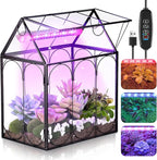 Meonum Tiny Glass Terrarium Kit with Grow Light, Venus Fly Trap Terrarium with Absorbent Mat, Timer&3 Light Modes for Succulent Live Air Plants Indoor Home Office Decor (7.1"x 4.7"x 8.7",USB Powered)