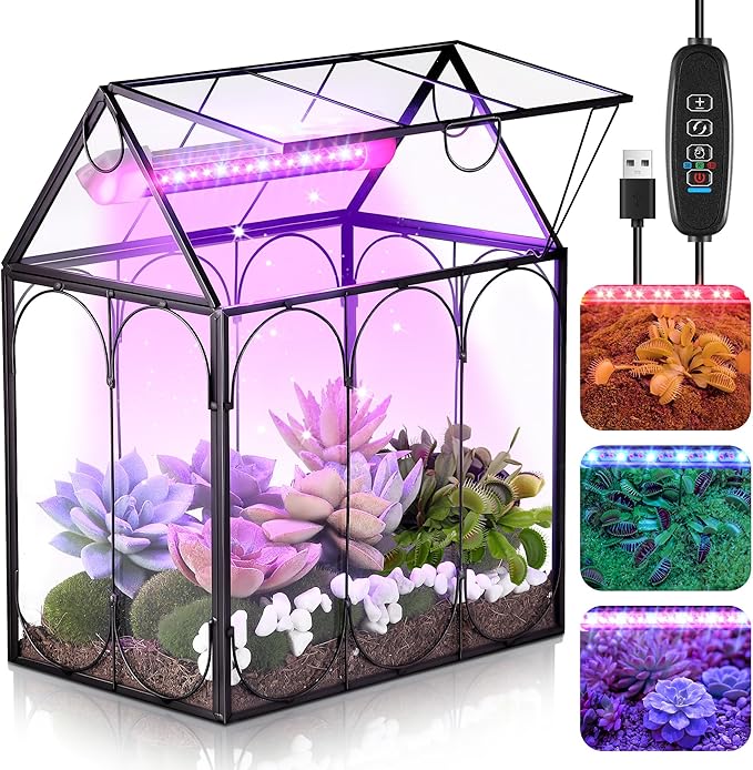 Meonum Tiny Glass Terrarium Kit with Grow Light, Venus Fly Trap Terrarium with Absorbent Mat, Timer&3 Light Modes for Succulent Live Air Plants Indoor Home Office Decor (7.1"x 4.7"x 8.7",USB Powered)
