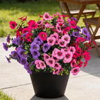17 Inch Artificial Faux Pansy Flowers for Outdoor,Fake Pansies Flowers with Eucalyptus Leaves Fake Plants Greenery Boxwood Porch Patio Decor 6 Bundles(Light Purple,Pink,Dark Rose)