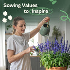 SVI 1000 Blue Sage Seeds for Planting (Salvia farinacea) - Heirloom Sage, Salvia Perennial Wildflower - Flower Seeds to Plant Outside in Pollinator Garden, Meadows, Borders, Beds