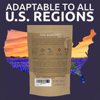 Bulk Texas Bluebonnet Wildflower Seeds - 1 Pound Bag - Over 16,000 Native Seeds - Texas State Flower!