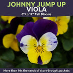 Viola - Johnny Jump-Up - Large 1/4 Ounce Packet - 10,000 Flower Seeds for Planting - Viola Tricolor