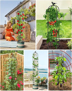 Garden Trellis for Climbing Plants Outdoor, 6.2ft Tall Garden Obelisk Trellis Climbing Plant Support Potted Vine Flower Rose Clematis Vegetable Pea Bean Cucumber Trellis Raised Bed, 2 Pack