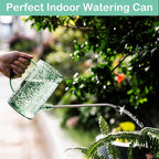 Small Watering Can for Indoor Plants - 34oz Leakproof Lightweight Pot with Long Spout & Bonus Shower Head, Indoor Watering Can for House Plants in Sage Green