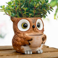 Saysmile Unique Owl Plant Pots Indoor, Cute Small Succulent Pots with Drainage Hole, Watering Owl Planters for Indoor Outdoor Plants, Resin Flower Pot for String of Pearls, Gift Ideas for Mother