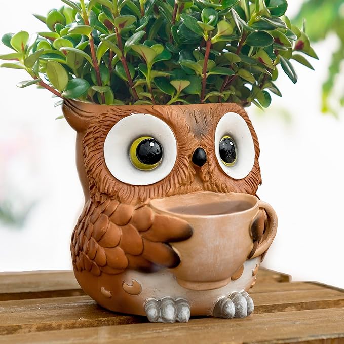 Saysmile Unique Owl Plant Pots Indoor, Cute Small Succulent Pots with Drainage Hole, Watering Owl Planters for Indoor Outdoor Plants, Resin Flower Pot for String of Pearls, Gift Ideas for Mother