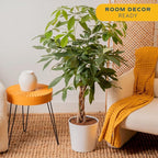 Costa Farms Money Tree Live Plant in Decorative Pot, Air Purifying, Large Indoor Houseplant, Perfect for Home, Room, or Office Decor, Great House Warming or Birthday Gift, 3-4 Feet Tall
