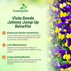 Outsidepride Johnny Jump Up Viola Wild Flower Seeds - 1/2 lb Easy-to-Grow, Compact & Hardy Perennial Seeds for Planting Outdoors, Ideal for Pollinators, Garden Beds, Containers, & Hanging Baskets