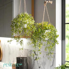 3 Packs Fake Hanging Plants with White Pots, 13" Artificial Hanging Plants for Wall Decor, Fake Plants Mandala Vine Indoor/Outdoor for Home Bathroom Bedroom Kitchen Office Room Decor