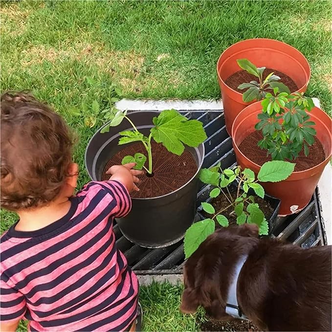 Plant Pot Grids 4PCS Plant Pot Soil Guard with Nails Grid Flower Cover Baby Safety Mouse Protector Repel Cats(Brown Round 30cm)
